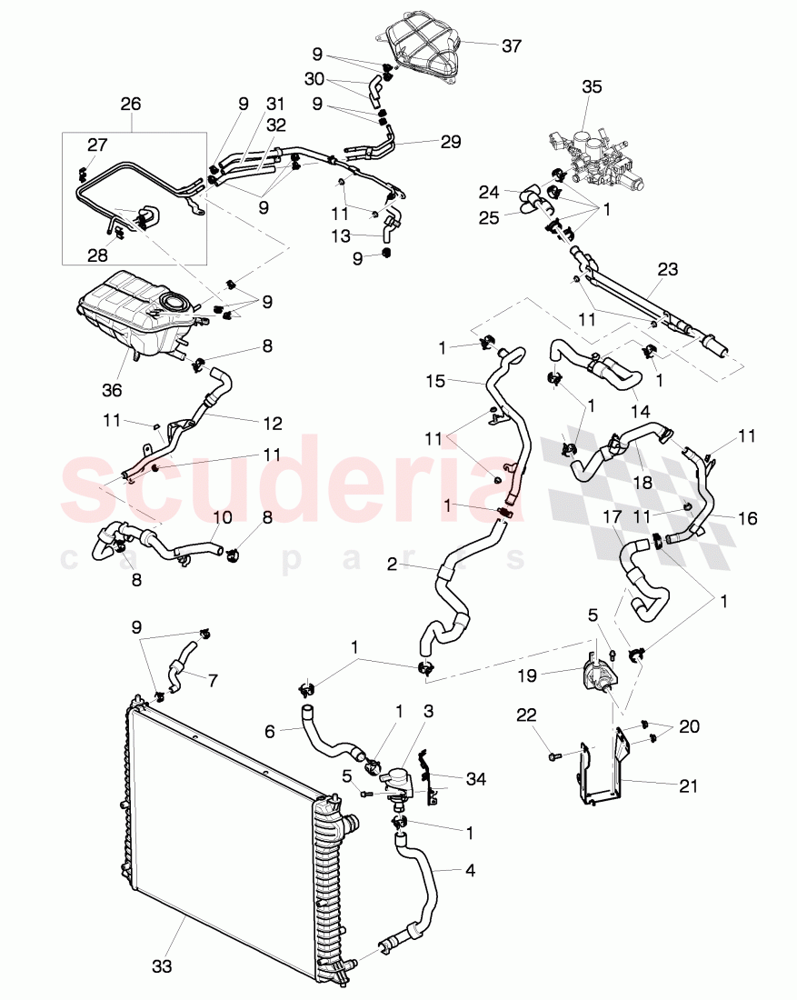 Coolant hoses and pipes, Engine bay, F >> 3W-6-039 272 of Bentley Bentley Continental GT (2003-2010)