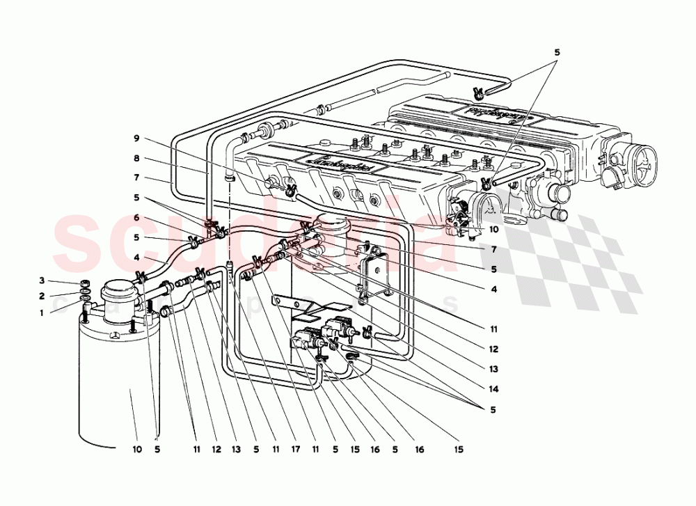 Fuel System 5 of Lamborghini Lamborghini Diablo VT 6.0 (2000-2001)