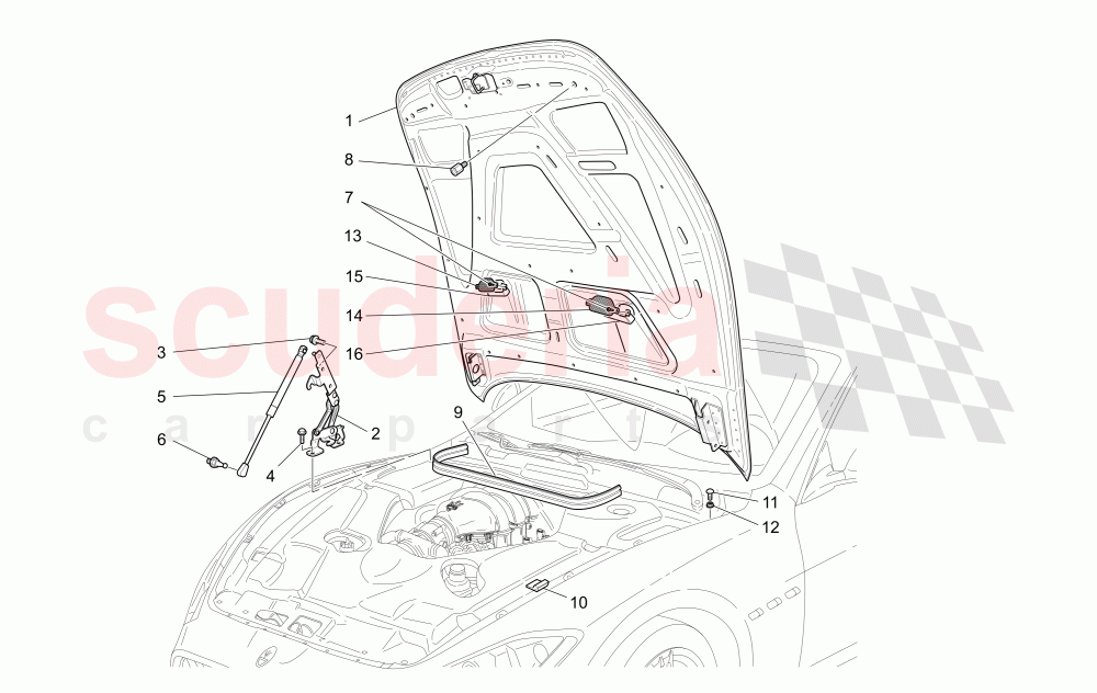 FRONT LID (Available with: Sport, MC FRONT LIDNot available with: Special Edition) of Maserati Maserati GranTurismo (2012-2016) Sport Auto