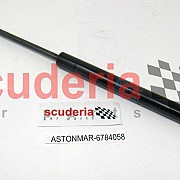 Gas Strut for 