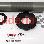 Rear Shock Absorber for 