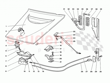 Photo of LEFT PLATE…