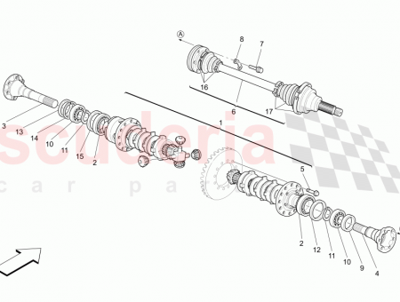 Photo of SCREW…